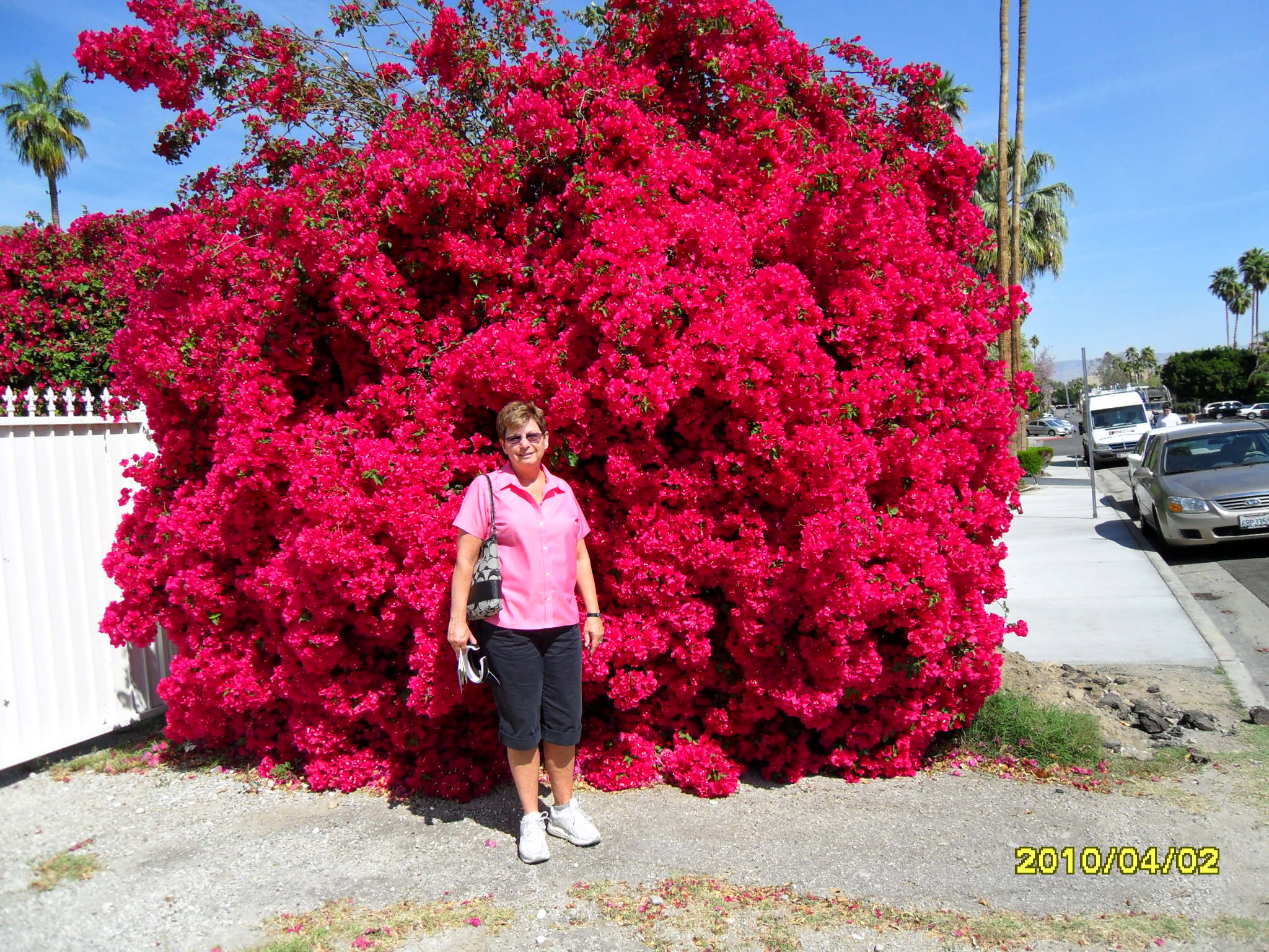 Palm Springs desert